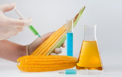 ModernMom GMO Image, Apr 2012 ModernMom GMO Image