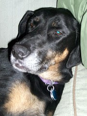 Lola_12610b