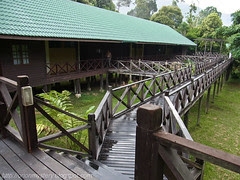 kapur and keruing rest house at maliau basin R0011984 copy