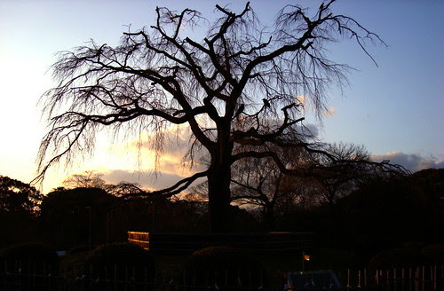 DSC00705-2-2