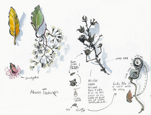 February 2014: Treasures by apple-pine