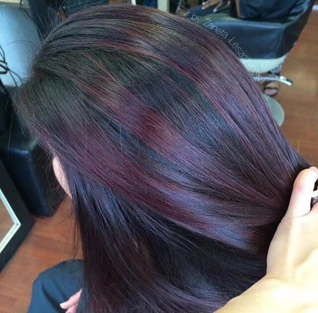 51 Top Pictures Plum Highlights On Black Hair / 24