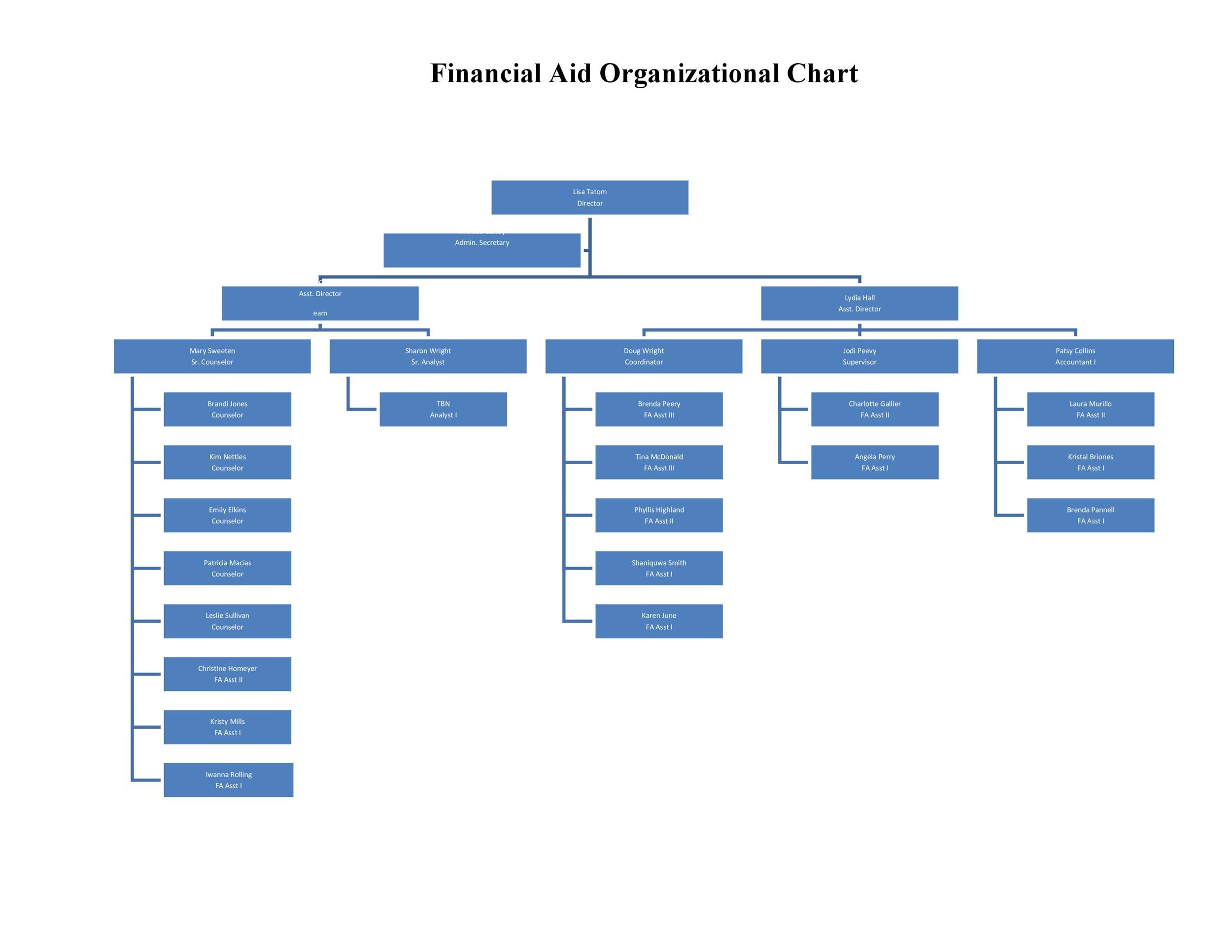 40 Organizational Chart Template Word Markmeckler Template Design