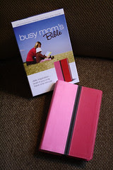 67-busy mom bible