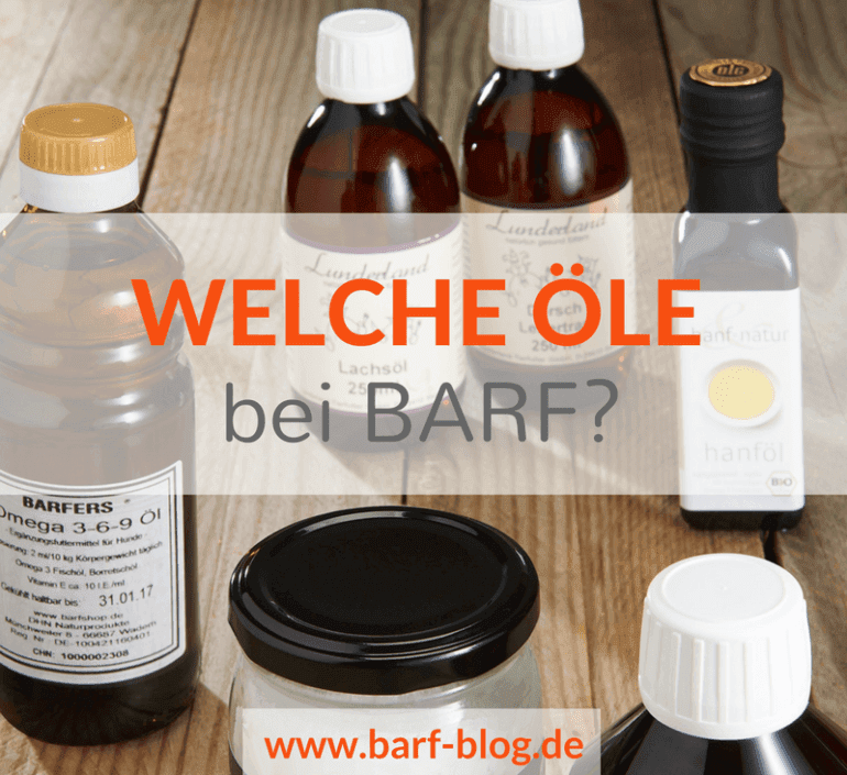 welches_öl_ist_gut_für_hunde — Die Hunde bellen