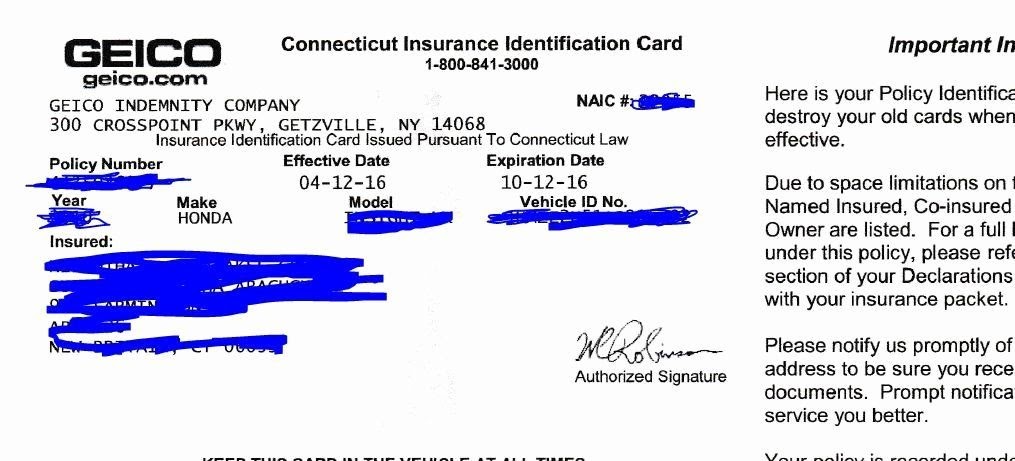 Fake Insurance Card Template