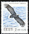 White-tailed Eagle Haliaeetus albicilla White-tailed Eagle Haliaeetus albicilla