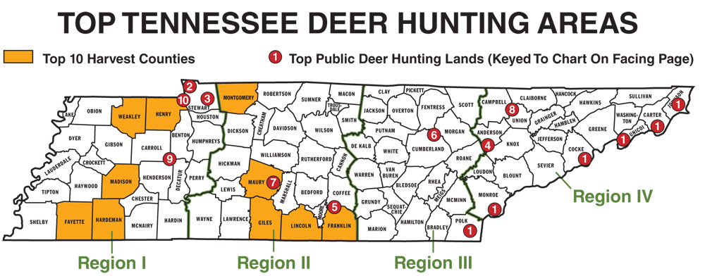 Tennessee Public Hunting Land Map - Maps For You