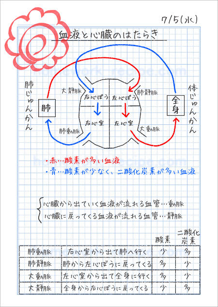 壮大 わかりやすい 簡単 6 年 自学 理科 壁紙 配布