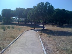 Naturaleza viva
