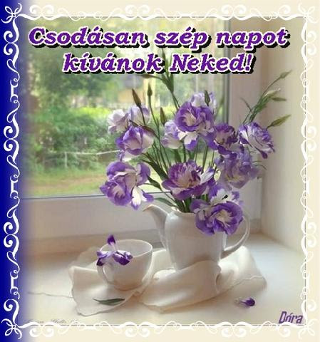 Romantika: Csodásan szép napot kívánok neked! (kép)