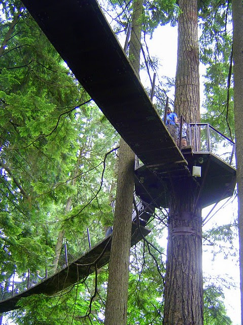 加拿大Treetops Adventure /無限台南