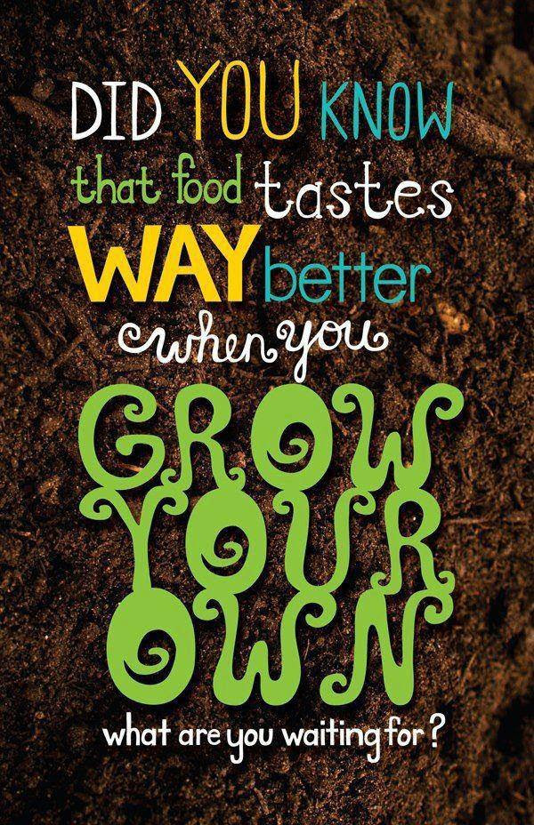 Backyard Gardening Quotes - House Backyards