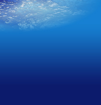 image 23