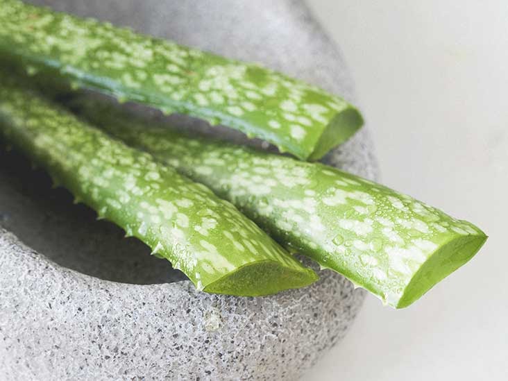 Eating aloe vera plant information