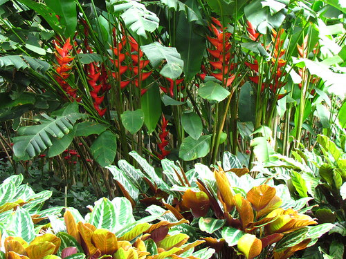Allerton Garden