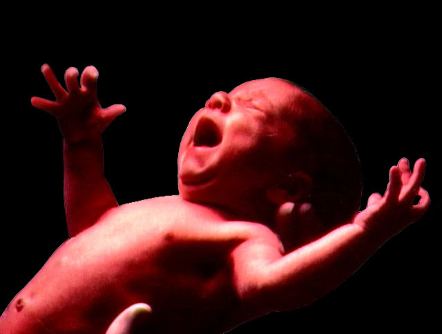 walker first cry