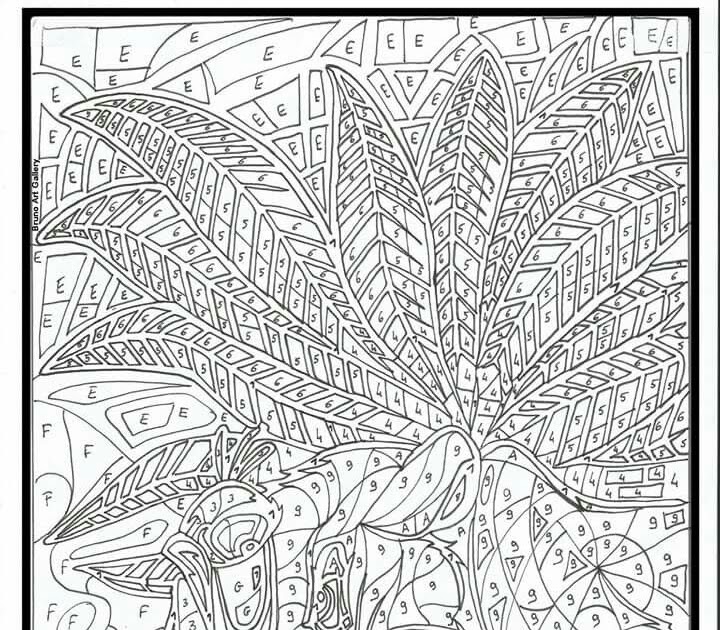 Coloriage Adulte Avec Code Couleur Gratuit / Coloriage magique chiffre