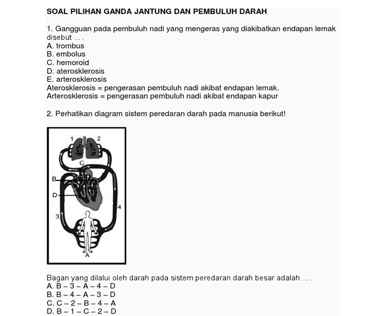 20 Contoh Soal Pilihan Ganda Sistem Pernapasan Pada Manusia Gambaran ...