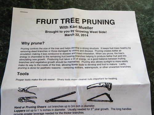 Fruit Tree Pruning Class