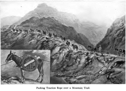 Packing traction rope over a mountain trail Packing traction rope over a mountain trail