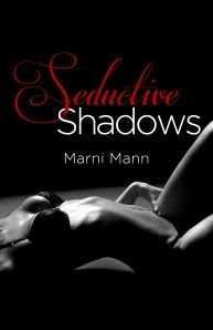 Seductive Shadows Cover