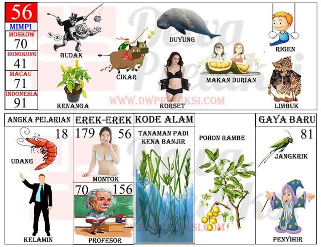 41 Arti mimpi digigit tokek togel