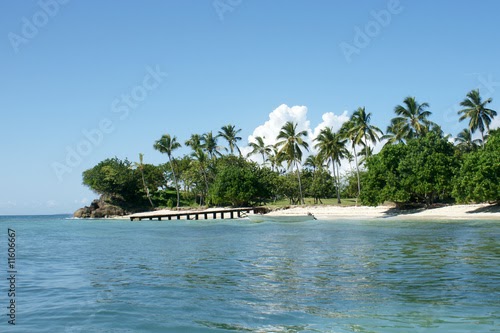 Bacardi Insel