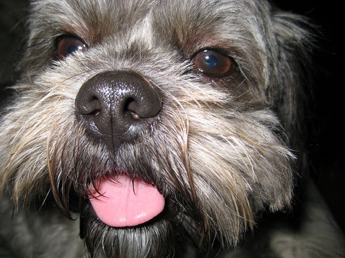 THANKS20070007_1