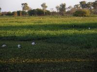 Free Image Hosting at www.ImageShack.us