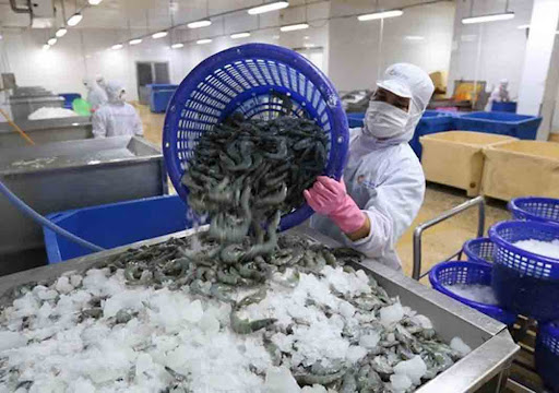 Vietnam’s GDP growth predicted at 2.1% this year
