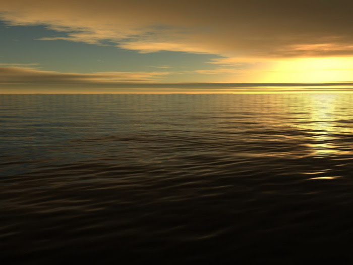 1364909772_u2_3874 (700x525, 70Kb)
