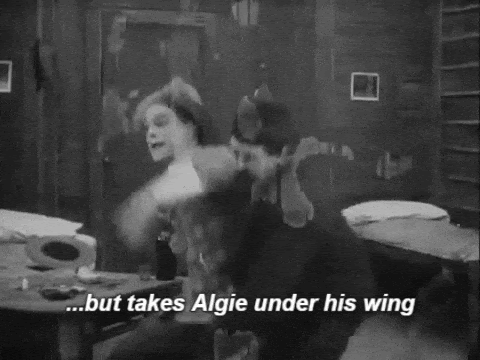 ...but takes Algie under his wing.