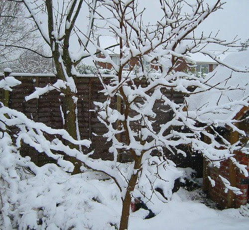 winter