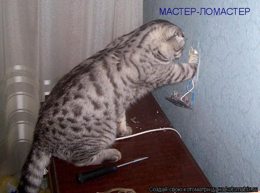 AsjwkLXcuqbrBa5osk63WtPFS6BqXAUIeIMRY3oBzdymoanm3WxQQE93Sx2EYPmpMFxNb5NN5MC-5oHXNsIWbSqsD1LjiIPMxVQRbj6lhHT3Tw
