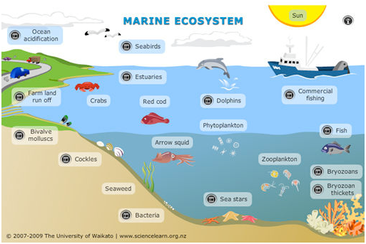 Ekosistem Air Laut Dunia Perikanan Ekosistem Air Laut Dunia Perikanan