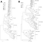 Thumbnail of Maximum-likelihood trees of strains of Middelburg virus and Sindbis virus identified in horses in South Africa relative to other members of the alphavirus genus. Trees were constructed by using the Tamura-Nei substitution model and midpoint rooted with MEGA5 (http://www.megasoftware.net/). The scale bar in both panels indicates 0.1 nt substitutions. Estimates were constructed on the basis of bootstrap resampling performed with 1,000 replicates. Confidence estimates &gt;70 are shown.