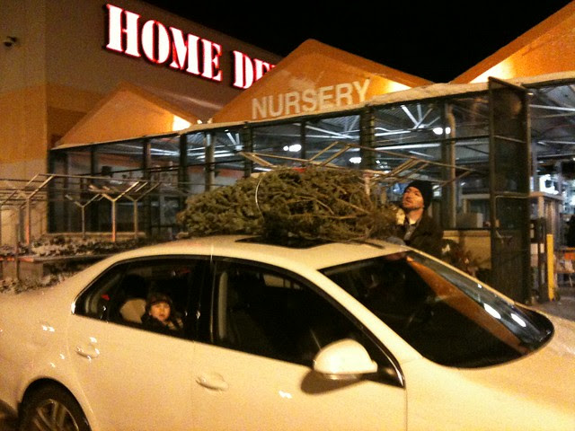 Tree 2010