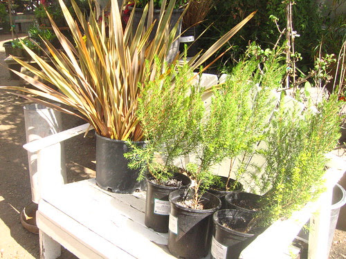 Spring display