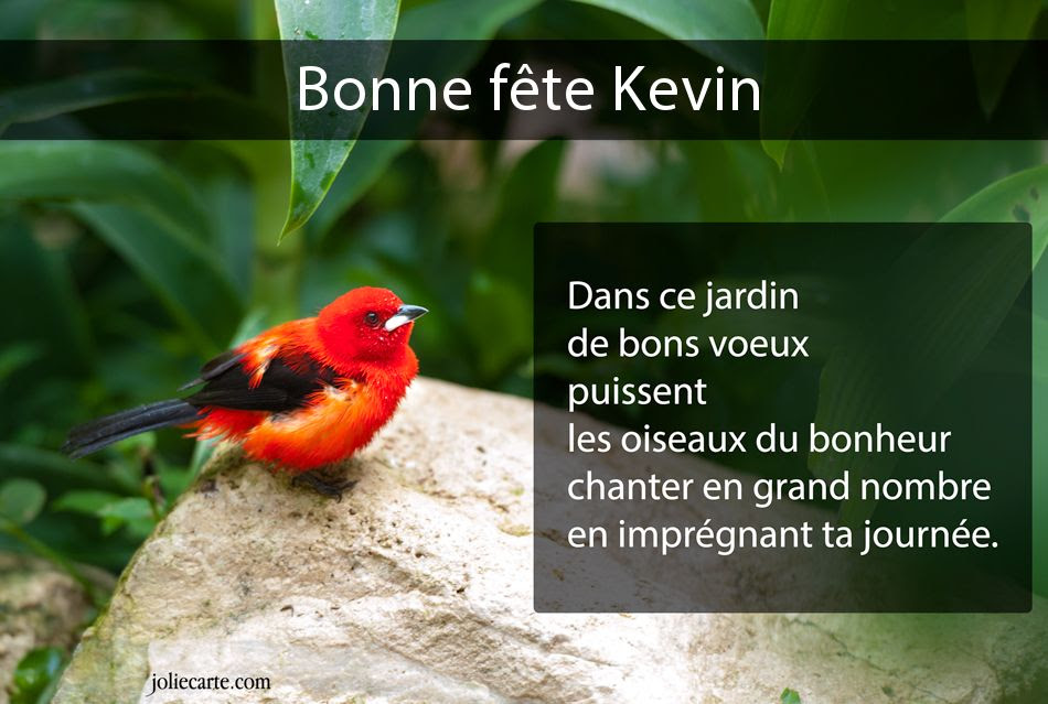 Carte Virtuelle Bon Anniversaire Kevin Nobuko