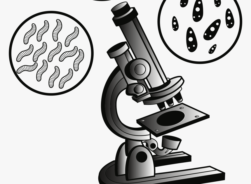 Microscope Images Hd Png - Micropedia
