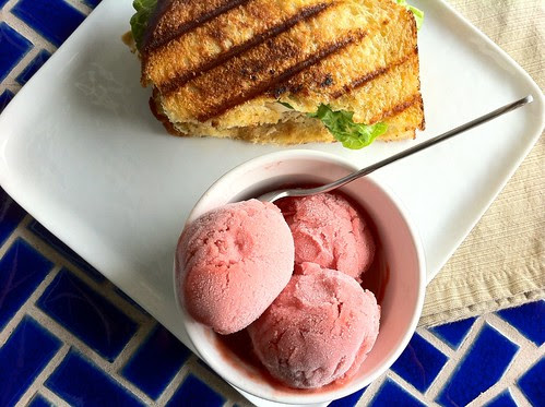 Rhubarb Sorbet Overhead