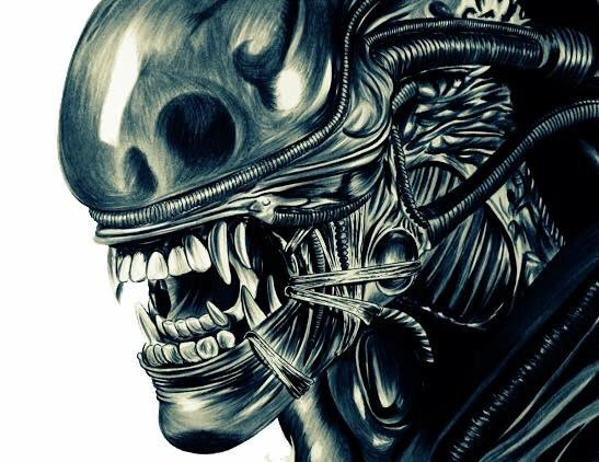 Xenomorph Head Alien Drawing - How To Get Free Robux 2019 On Mobile