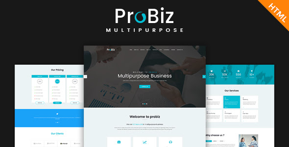 Probiz Multipurpose Html Template