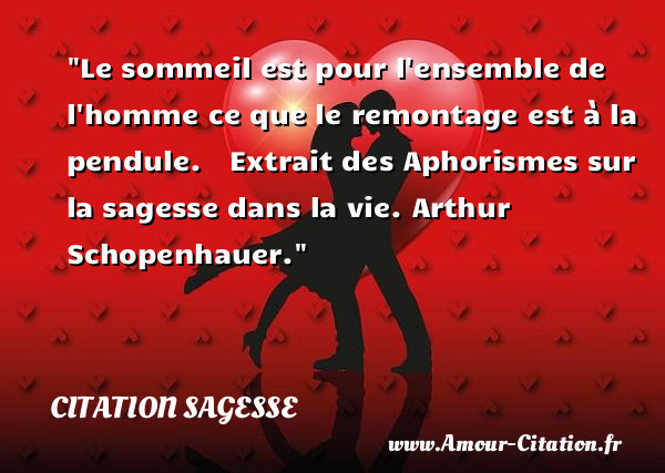 78 Arthur Schopenhauer Citation Bonheur CitezFrais
