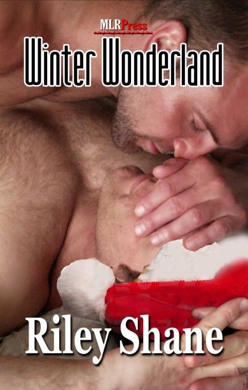 Winter Wonderland Cover