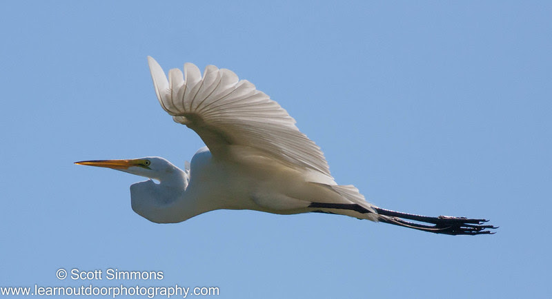 Photo & Video Sharing by SmugMug Photo & Video Sharing by SmugMug