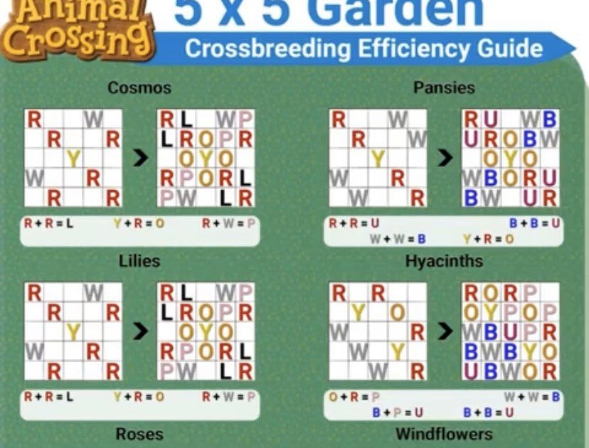 Animal Crossing Flower Breeding Layout 5x5 - DAMINAL