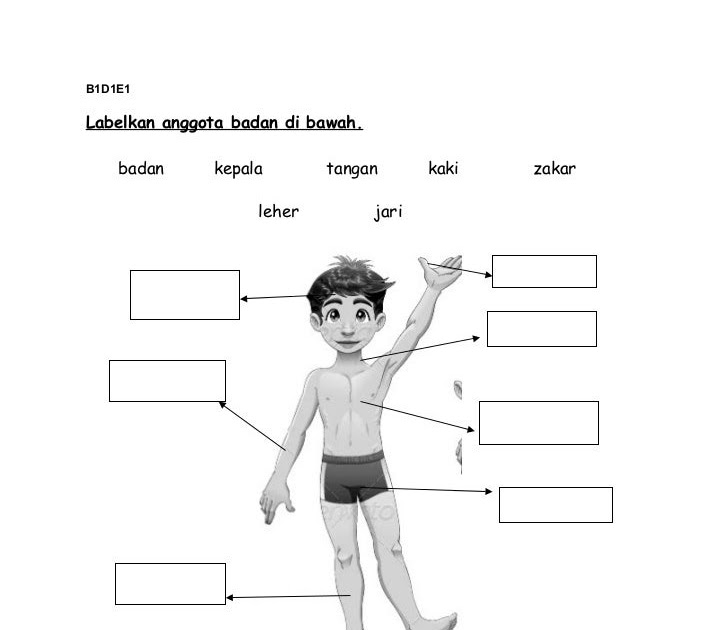 Contoh Soalan Latihan Pendidikan Kesihatan Tahun 2 - H Liga MX