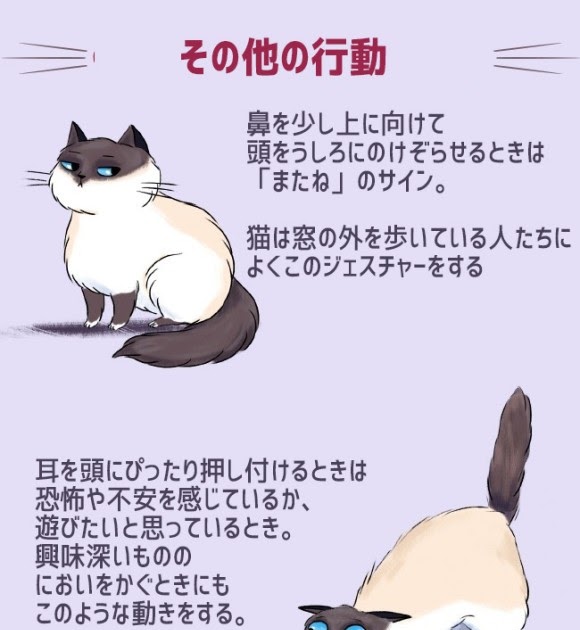 Ngagolak イケメン 猫 を 撫でる イラスト